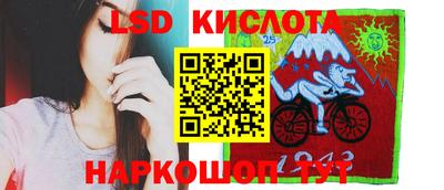 крисы Можга
