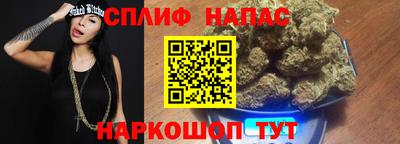 ешки Моздок