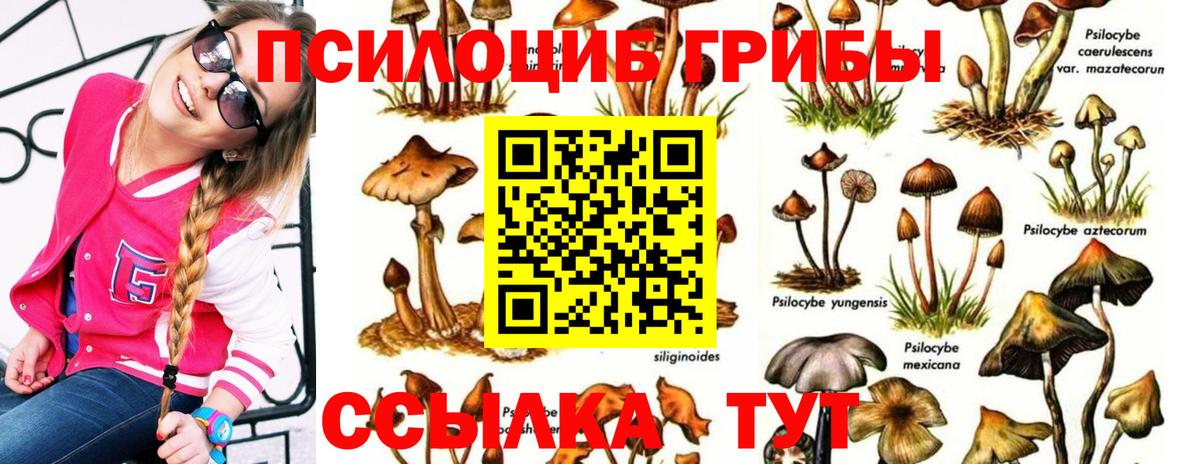 Галлюциногенные грибы мицелий  где купить   Старая Купавна  Вход с VPN 